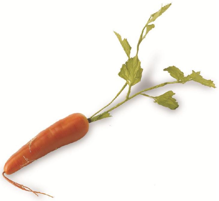 17 Inch long foam orange carrot with leaves and root – Door and Decor, LLC