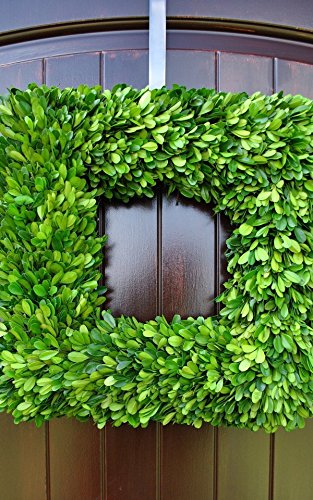 16 Inch Square Green Preserved Boxwood Wreath on Grapevine Base for Classic Home Decor