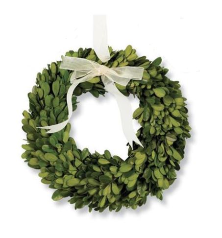 10 Inch Round Preserved Boxwood Wreath with Sheer Cream Ribbon