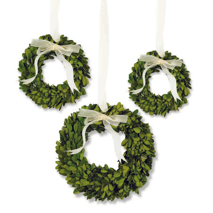 Set of 3 Mini Preserved Boxwood Wreaths with Sheer Bows- 10