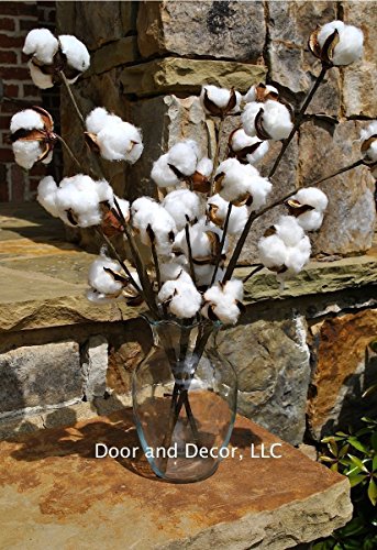 Set of 3 Cotton Stems or Branches 20