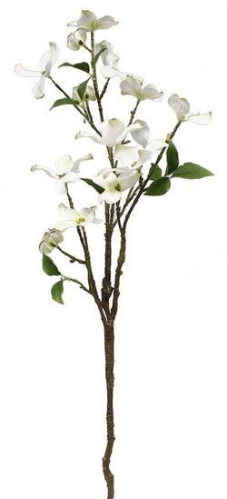 30" Dogwood Stem with 11 flowers and 3 buds, White and Green