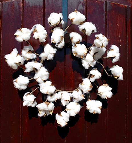 Faux Cotton Wreath made of Preserved Cotton Bolls Attached to Flexible Stems for that Rustic Farmhouse Home Decor in 12-14 Inch Diameter