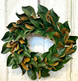 24" Diameter Faux Magnolia Leaf Wreath on Light Red Dyed Twig Base Frame for Front Door Display, Interior, Mirror, Window
